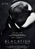Blackfish Filmplakat